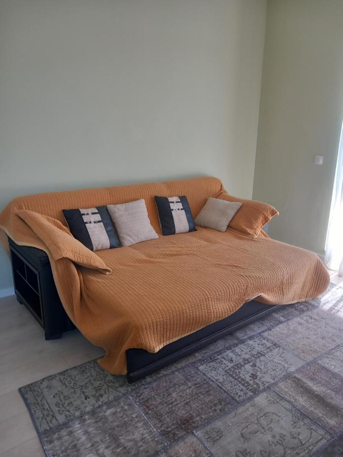 Herastrau Apartment Бухарест Экстерьер фото